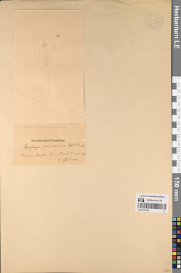 LE 01197703