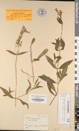 LE 01035234