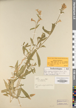 LE 01035237