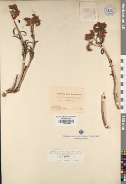 LE 01014685