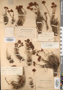 LE 01014693