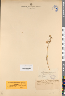 LE 01035257