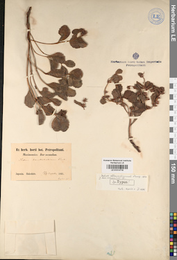 LE 01014718