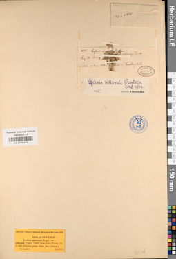 LE 01035270