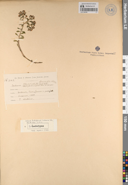 LE 01194150