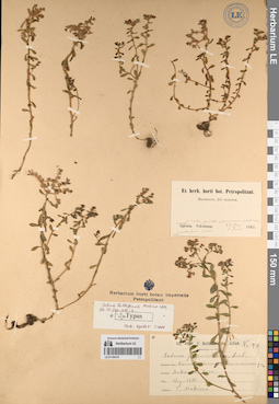 LE 01194151