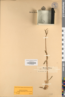 LE 01035289