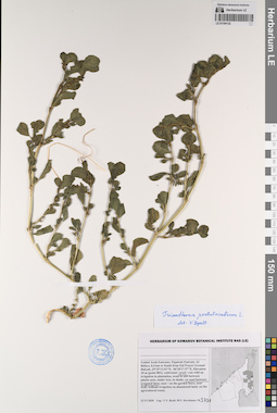 LE 01194132