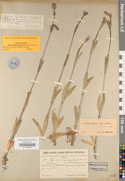 LE 01035304