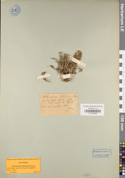 LE 01035368