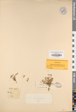 LE 01035372