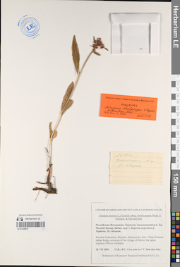LE 01229075