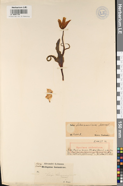 LE 00051730