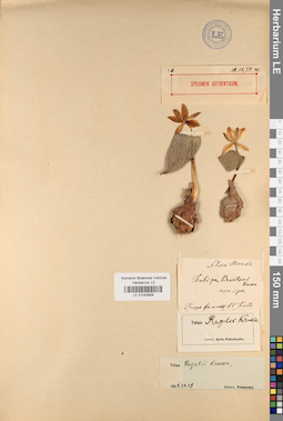 LE 01043858