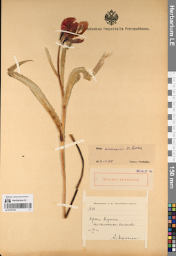 LE 01197728