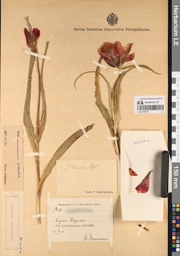 LE 01197729