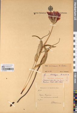 LE 01197730