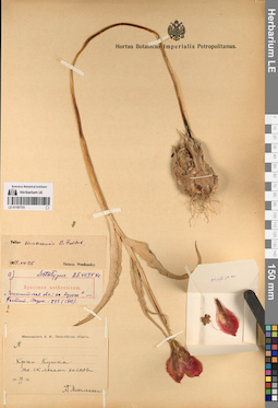 LE 01197731