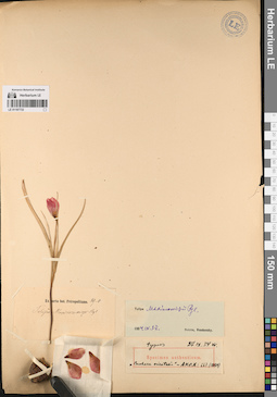 LE 01197733