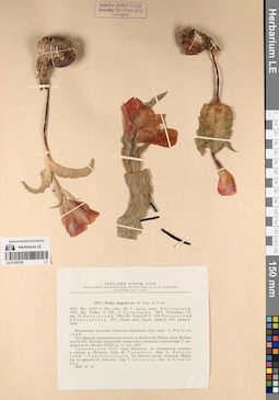 LE 01197738