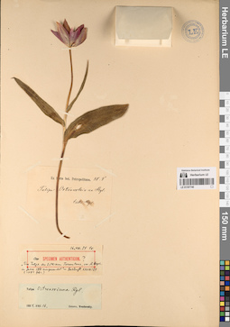 LE 01197740