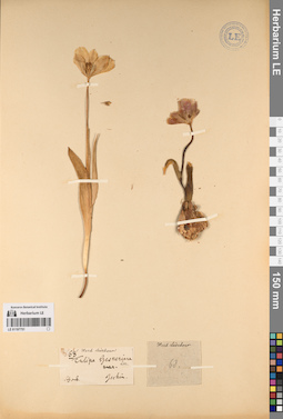 LE 01197751