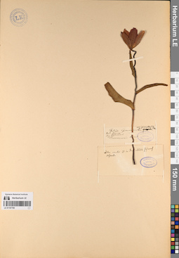 LE 01197760