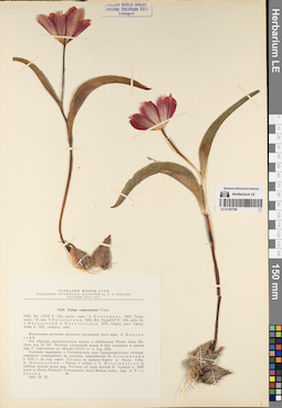 LE 01197766