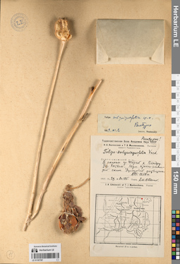 LE 01197767