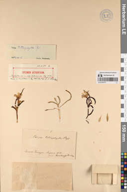 LE 01197771