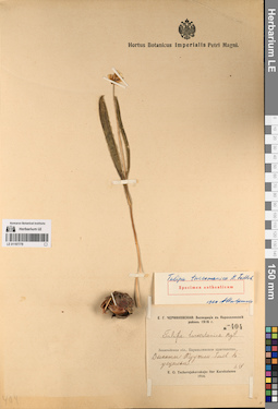 LE 01197779
