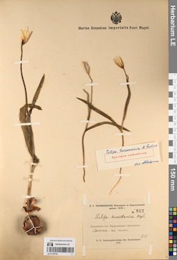 LE 01197781