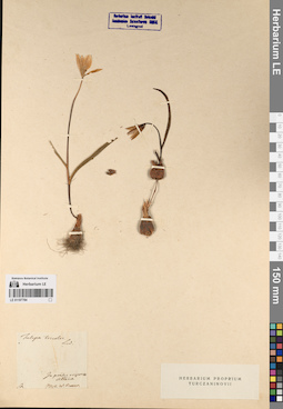 LE 01197784