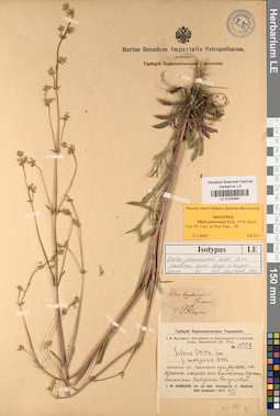 LE 01034881