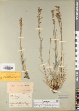 LE 01034884