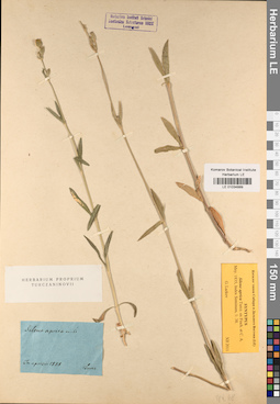 LE 01034889