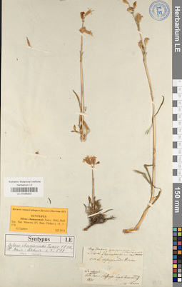 LE 01035202