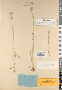 LE 01035210