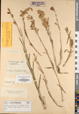 LE 01035219