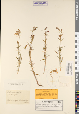 LE 01035230