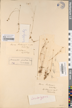 LE 01042240