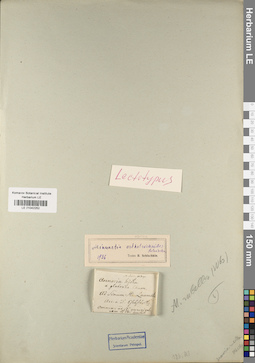 LE 01042252
