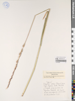 LE 01234145