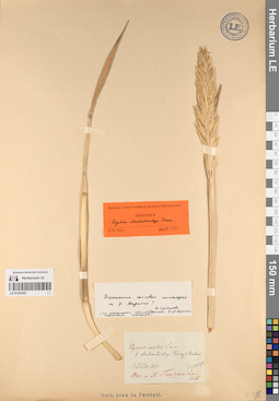 LE 01234187