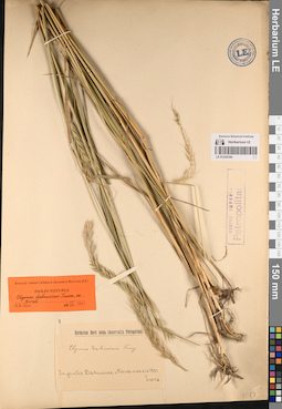LE 01234194