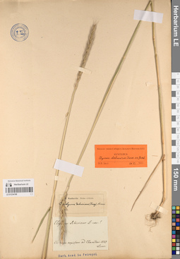 LE 01234198