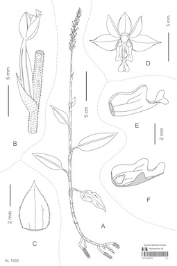 LE 01124110