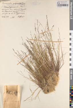LE 01237076