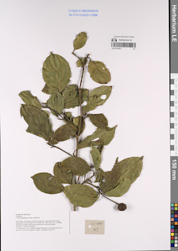 LE 01170577