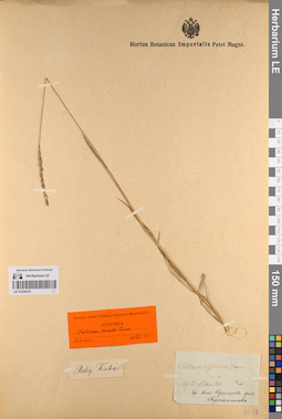 LE 01234219